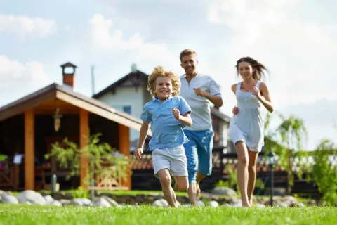 service-image-pest-fumigation