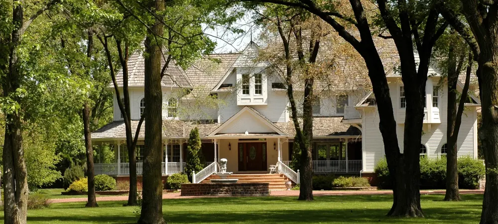 House surrounded by healthy trees
