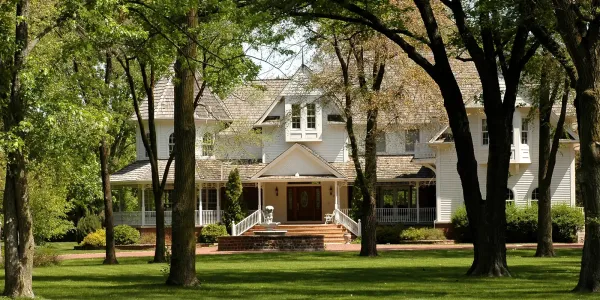 House surrounded by healthy trees